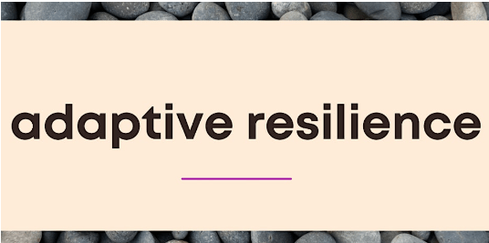 Adaptive Resilience Workshop Event Logo