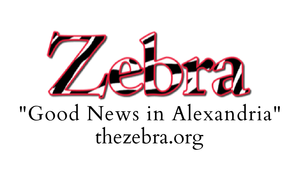 partner logo for https://thezebra.org